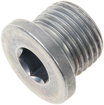 Engine Oil Drain Plug