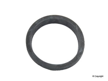 Fuel Pump Tank Seal