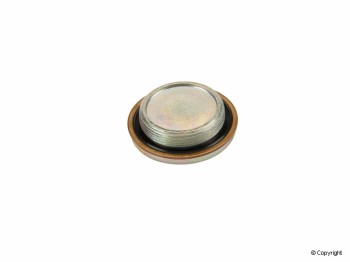 Engine Camshaft Plug