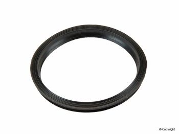 Fuel Pump Tank Seal