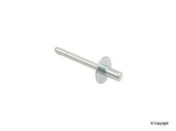 Window Regulator Rivet