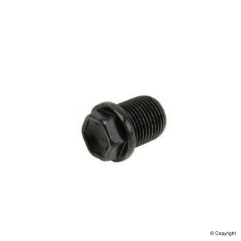 Engine Oil Drain Plug