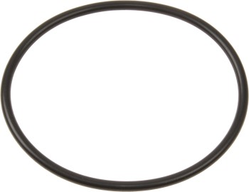 Fuel Pump Tank Seal