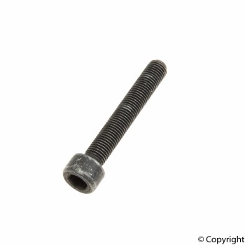 Disc Brake Caliper Bolt