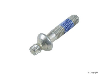 Steering Column Lock Bolt