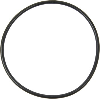 Wheel Bearing O-Ring