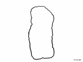 Engine Oil Pan Gasket