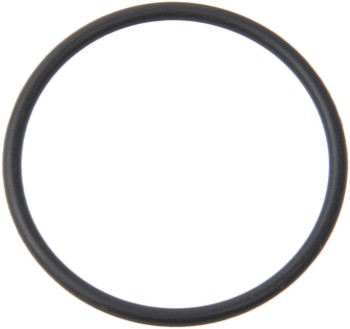 Fuel Pump O-Ring