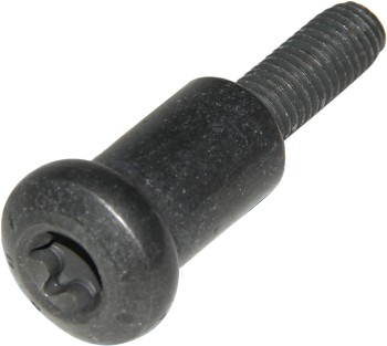 Engine Timing Chain Guide Bolt