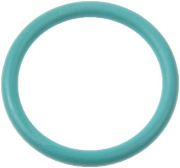 Engine Water Pump Housing O-Ring