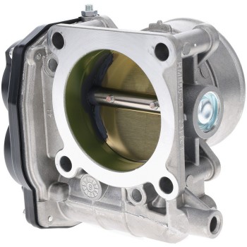 Fuel Injection Throttle Body