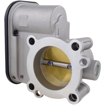 Fuel Injection Throttle Body