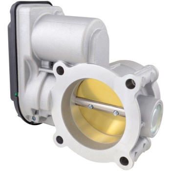 Fuel Injection Throttle Body
