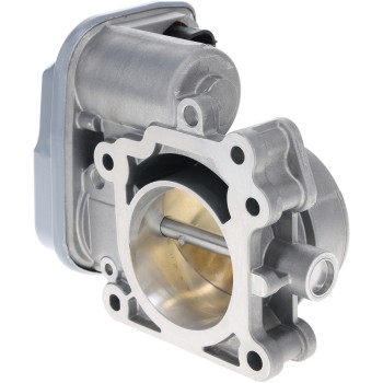 Fuel Injection Throttle Body