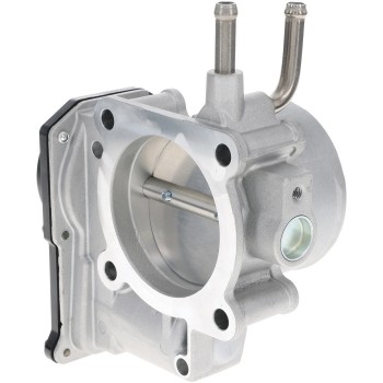 Fuel Injection Throttle Body