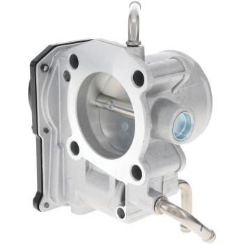 Fuel Injection Throttle Body