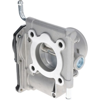 Fuel Injection Throttle Body