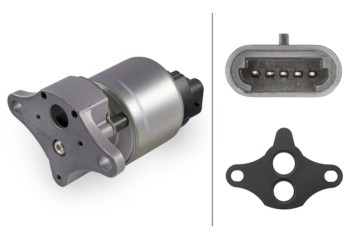 Exhaust Gas Recirculation (EGR) Valve