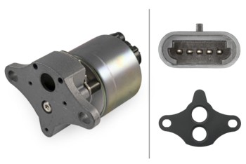 Exhaust Gas Recirculation (EGR) Valve