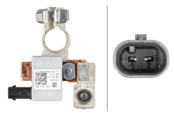 Intelligent Battery Sensor (IBS)