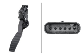 Accelerator Pedal Sensor