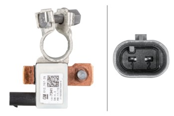 Intelligent Battery Sensor (IBS)