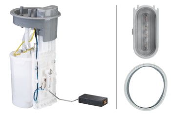 Fuel Pump and Sender Assembly
