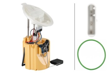 Fuel Pump and Sender Assembly