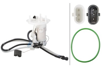 Fuel Pump and Sender Assembly