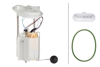 Fuel Pump and Sender Assembly