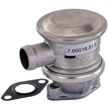 Secondary Air Injection Pump Check Valve