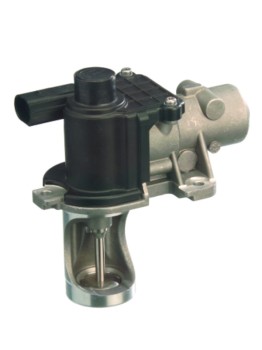 Exhaust Gas Recirculation (EGR) Valve