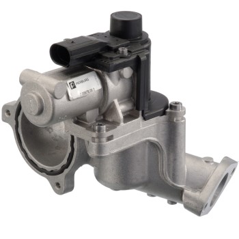 Exhaust Gas Recirculation (EGR) Valve