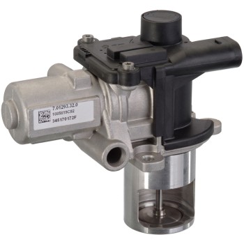 Exhaust Gas Recirculation (EGR) Valve