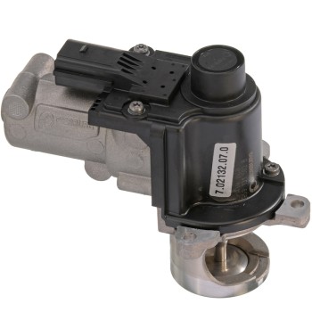 Exhaust Gas Recirculation (EGR) Valve