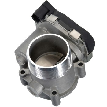 Fuel Injection Throttle Body