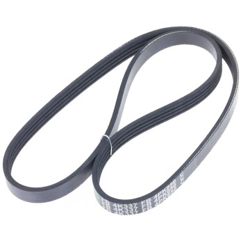 Serpentine Belt
