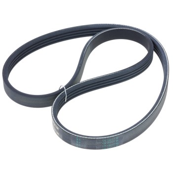 Serpentine Belt