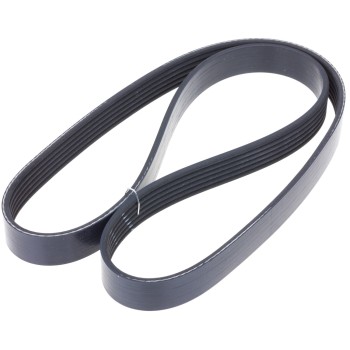 Serpentine Belt