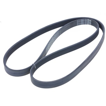 Serpentine Belt