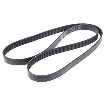 Serpentine Belt