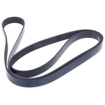 Serpentine Belt