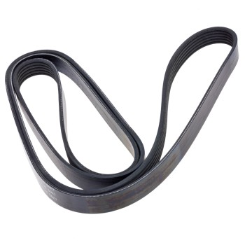 Serpentine Belt