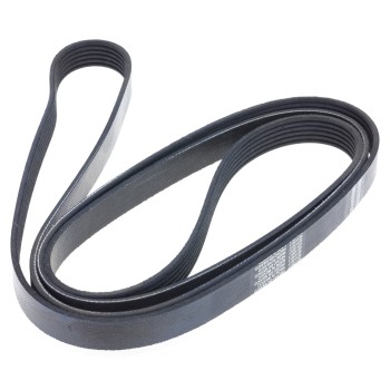 Serpentine Belt