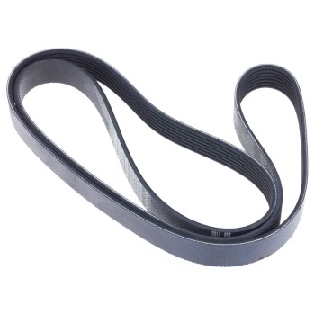 Serpentine Belt