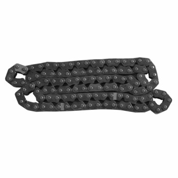 Engine Timing Chain