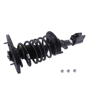 Suspension Strut and Coil Spring Assembly