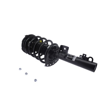 Suspension Strut and Coil Spring Assembly