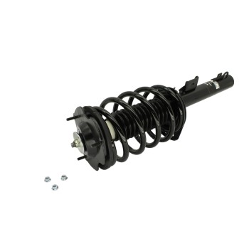 Suspension Strut and Coil Spring Assembly