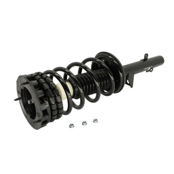Suspension Strut and Coil Spring Assembly